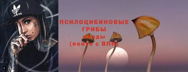дурь Белокуриха