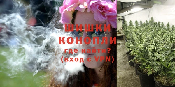 дурь Белокуриха