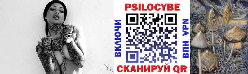 Галлюциногенные грибы Psilocybine cubensis  Славгород 